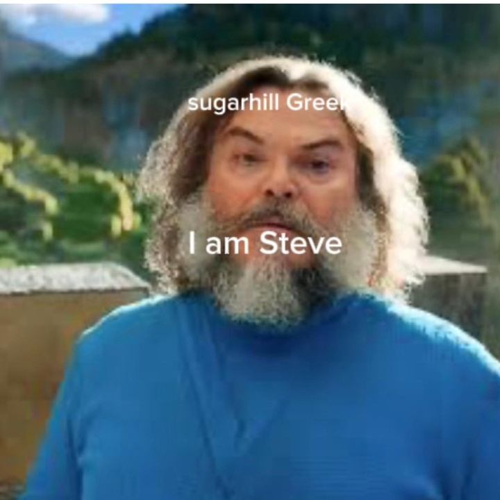 I am steve