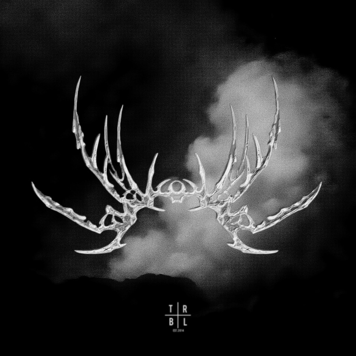 THE VOID (Ultra Slowed)