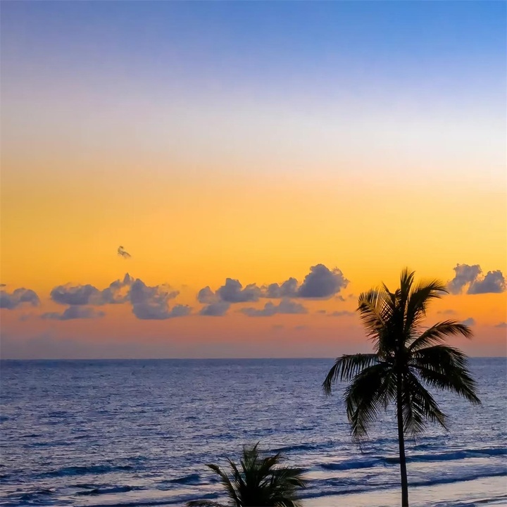 Death Bed(治愈版)