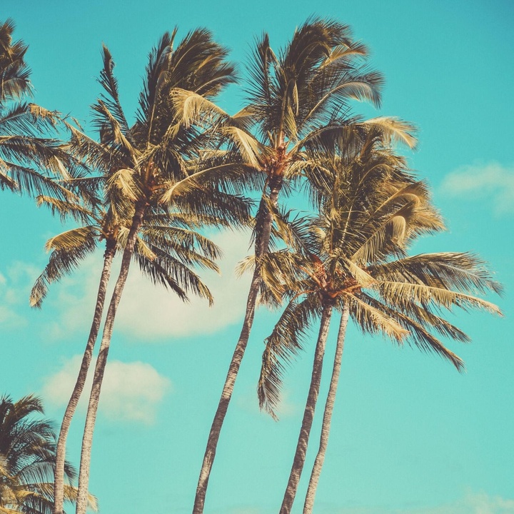 Sunset Ombre Cake Ideas and Tropical Designs