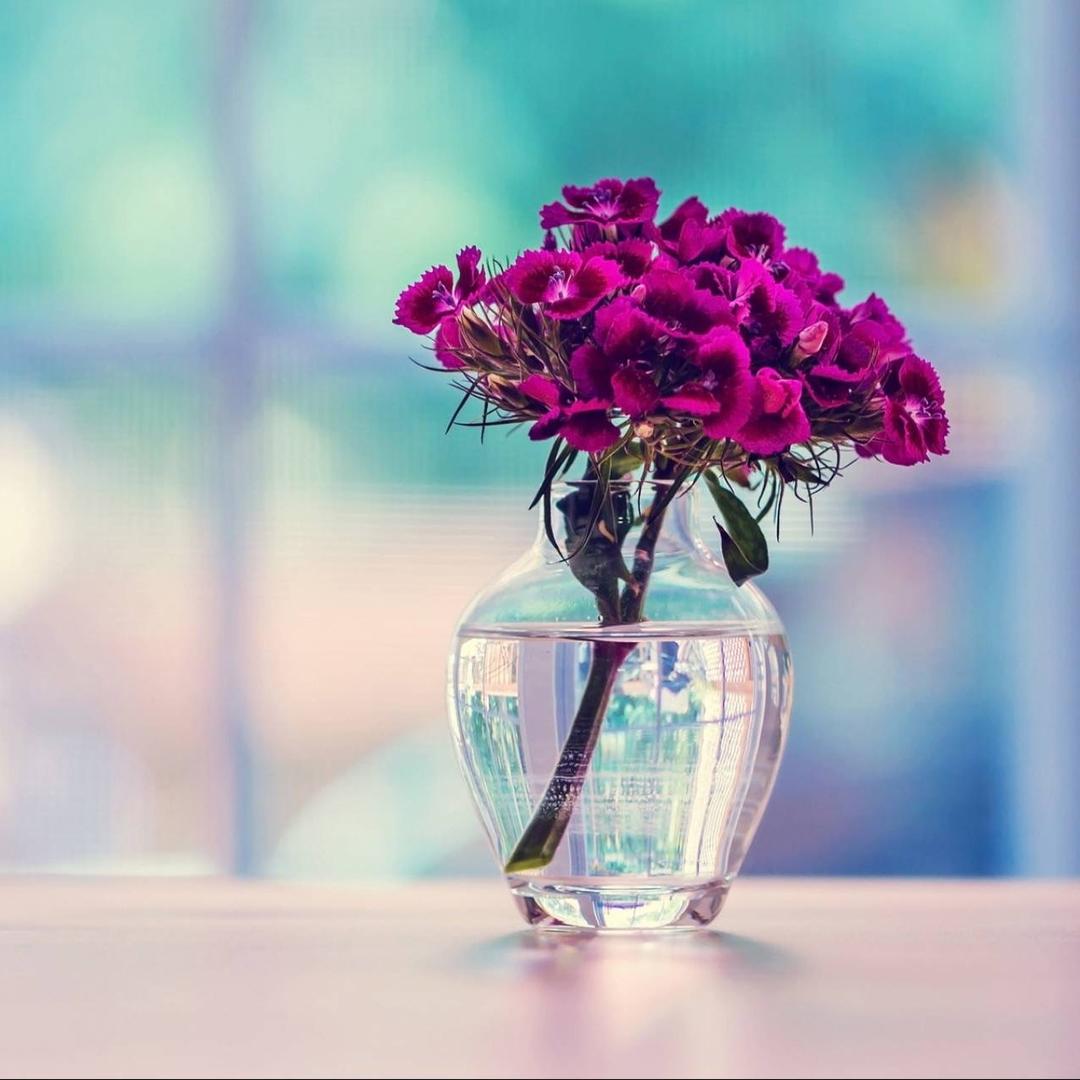 🌴🇸🇦🌹❤️🇸🇦❤️🌹🌴 - original sound