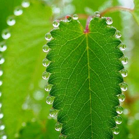 The Profile Image Avatar of oddlysatisfyingchannel - Satisfying Channel