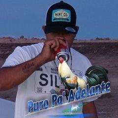 elzamorencesilva