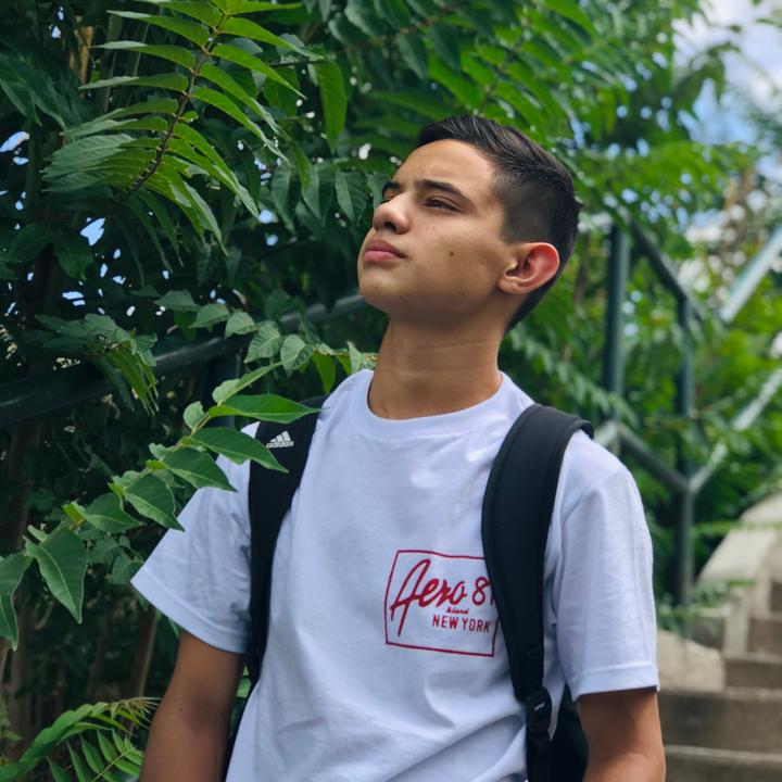 danielcortes537