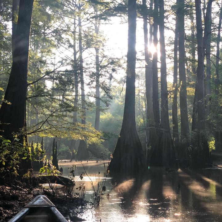 🍻🚣🏼🏕🪓🇺🇸 - suara asli