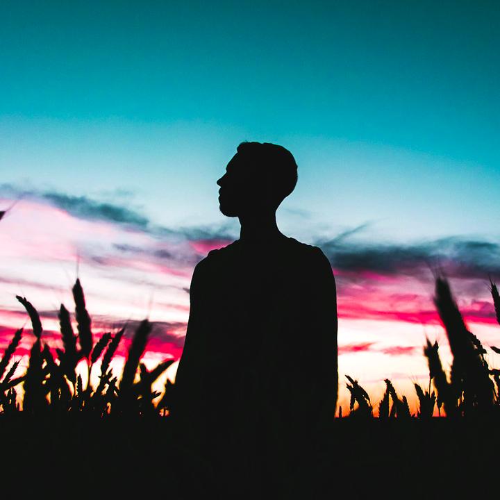 The Profile Image Avatar of gekonic - Gekonic