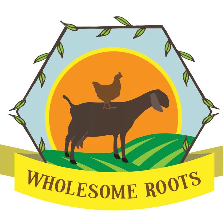 WholesomeRoots - original sound - wholesomeroots