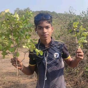 vinitmhatre0