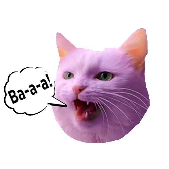 The Profile Image Avatar of sofiadelmonstro - Cat Sofia