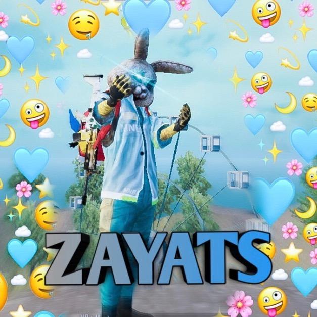 The Profile Image Avatar of zayats_pubg - PUBG MOBALE