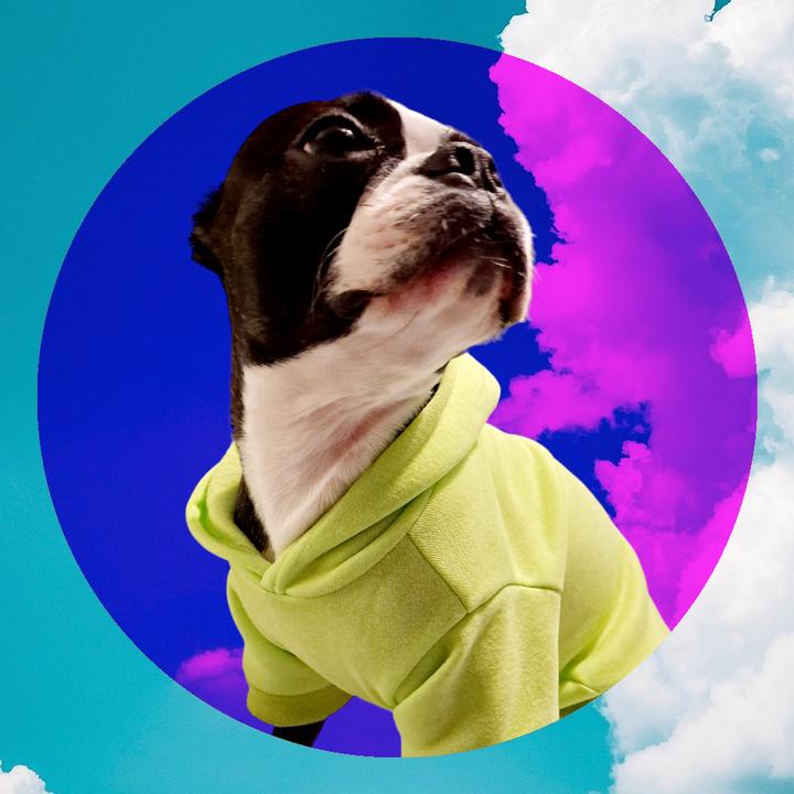 Ruby&Rocco - suara asli