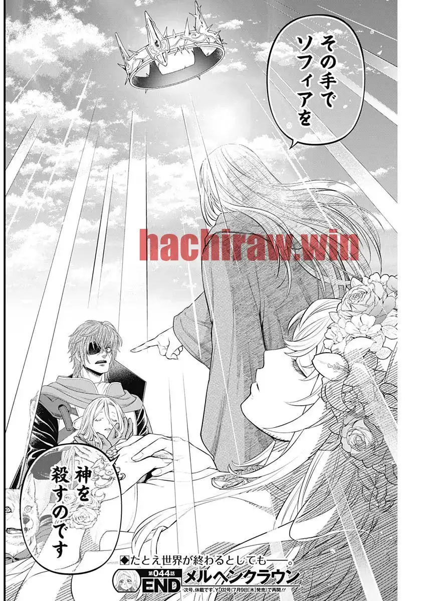 img 19