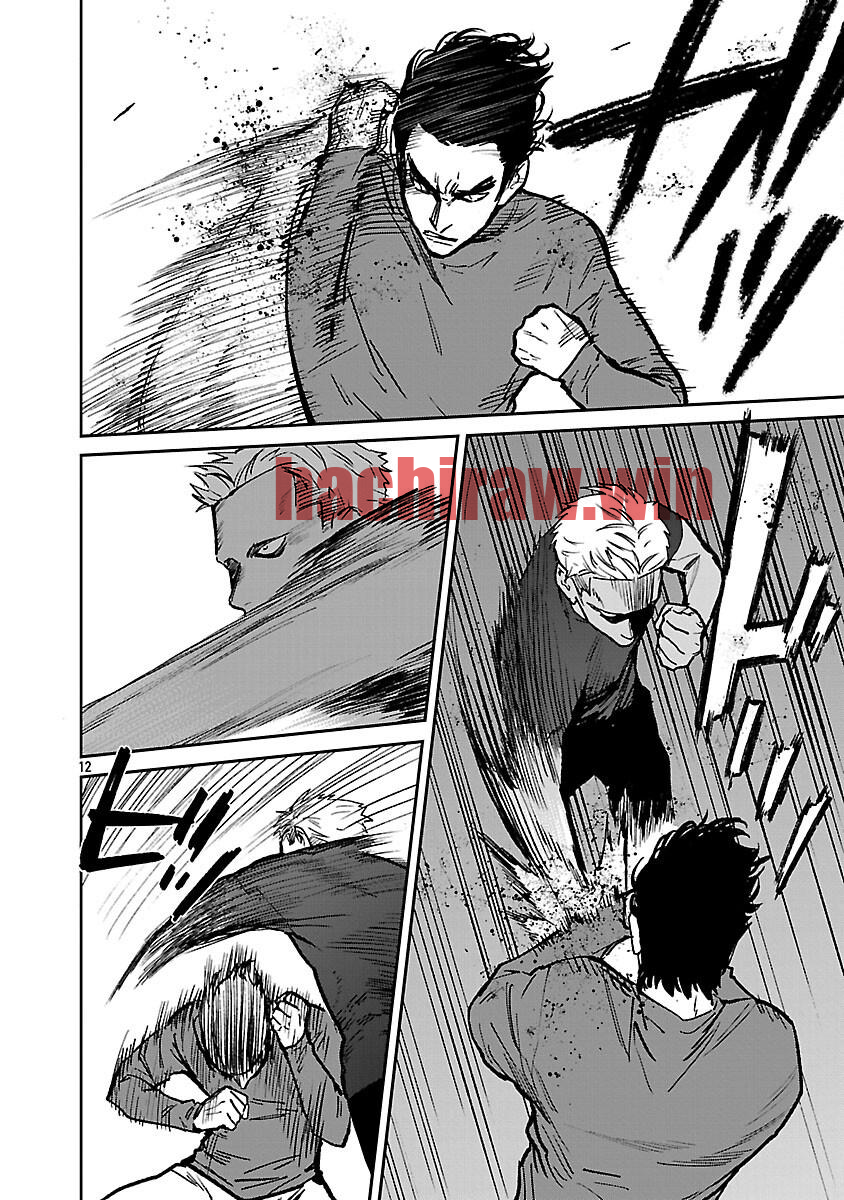 img 13