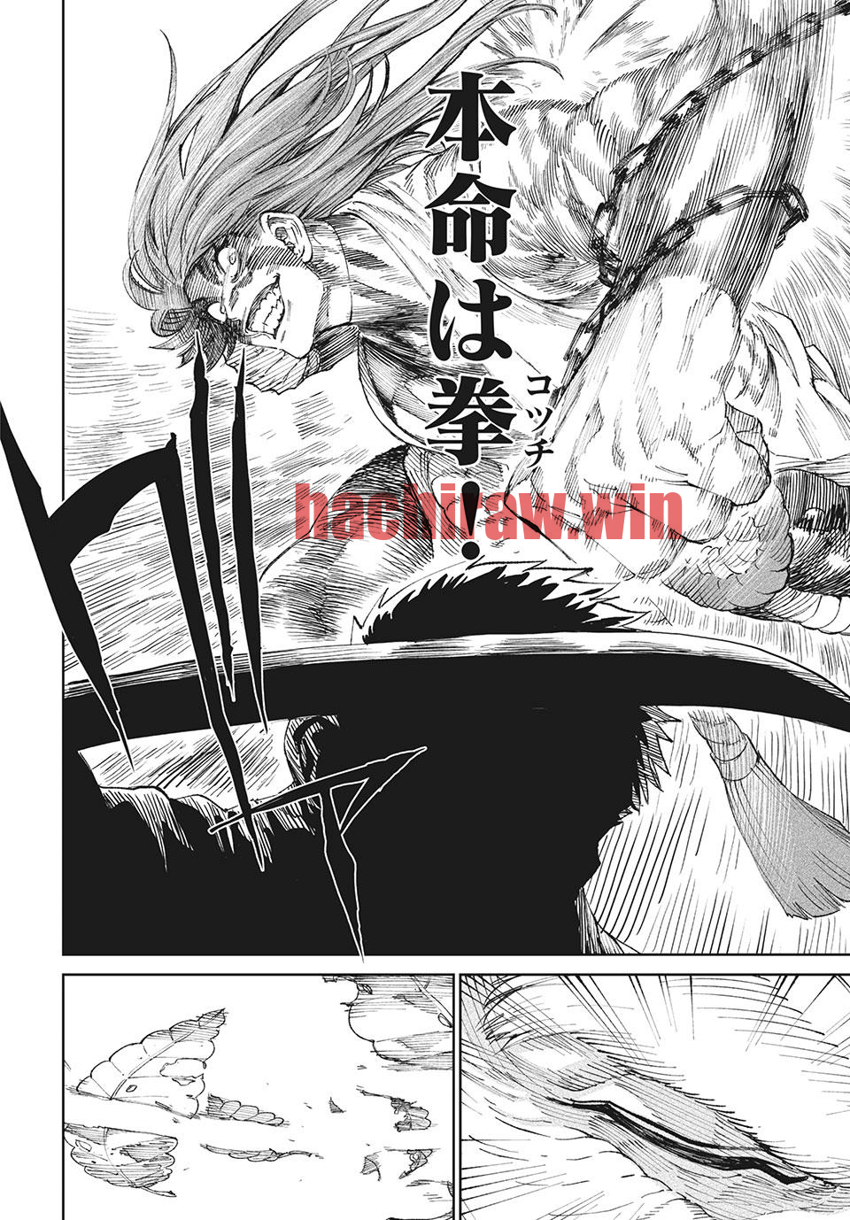 img 17