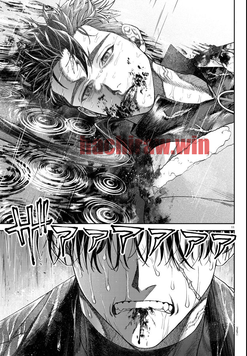 img 10