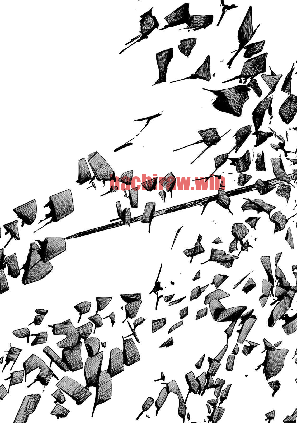 img 23