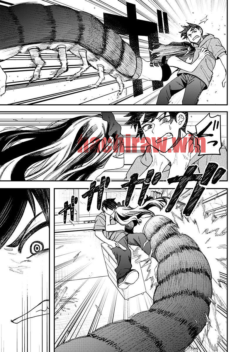 img 6