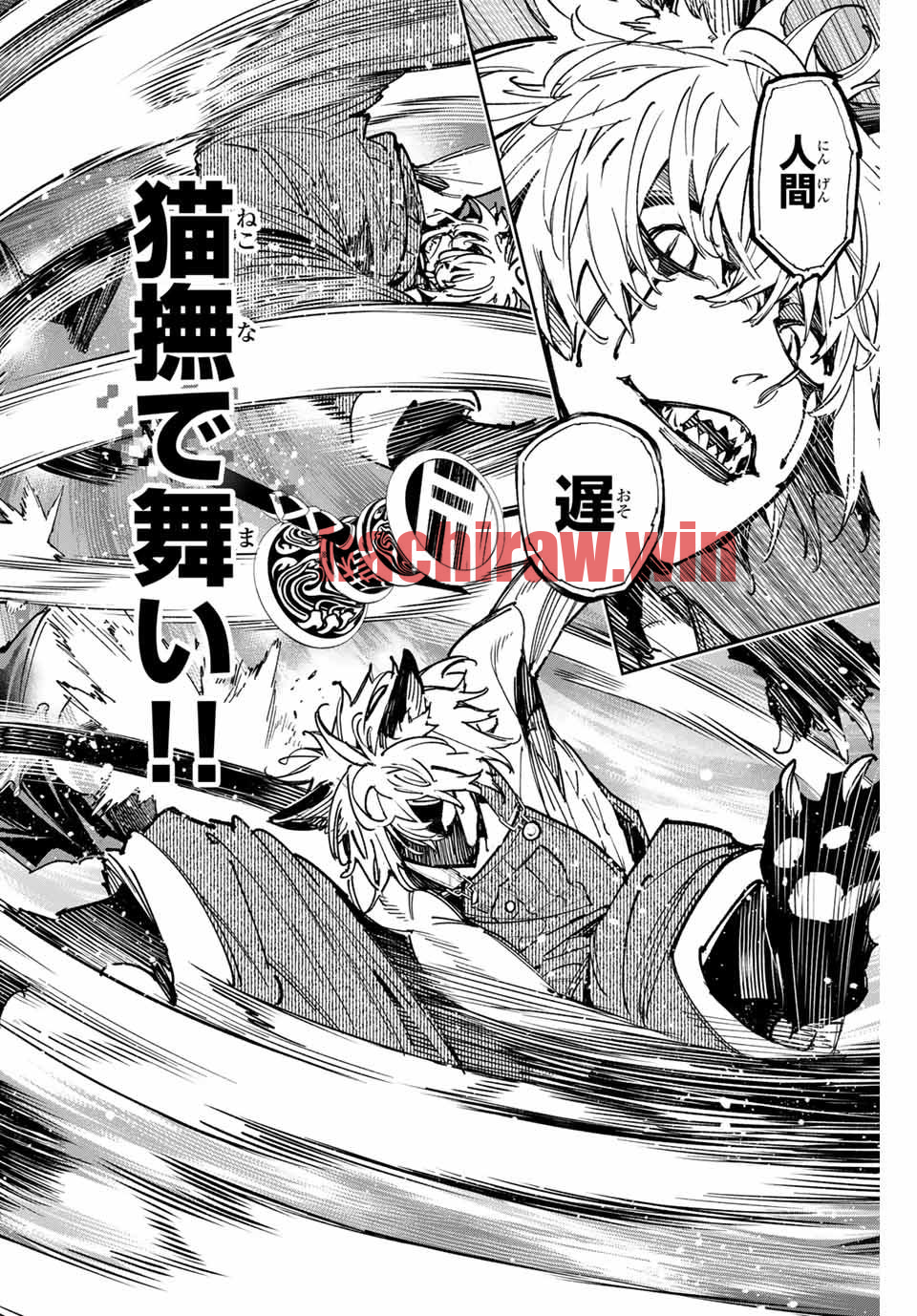 img 7