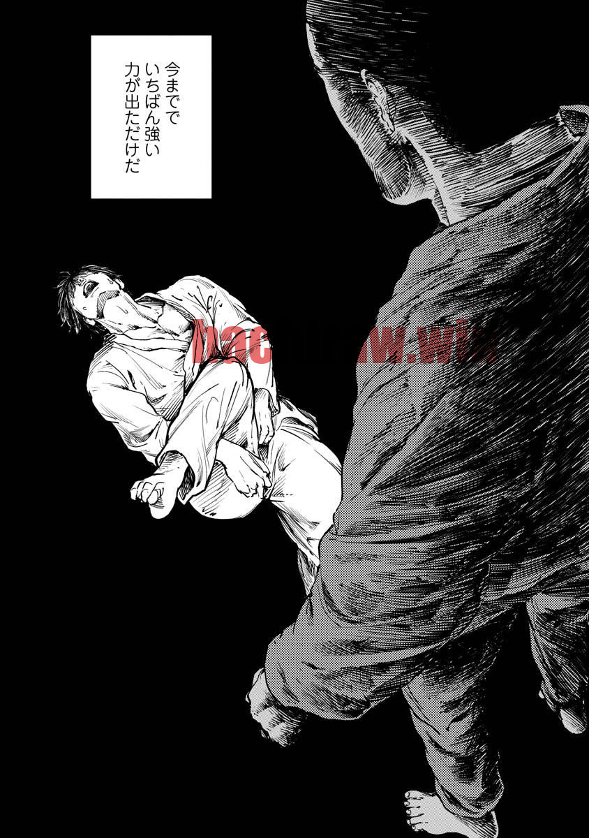 img 13