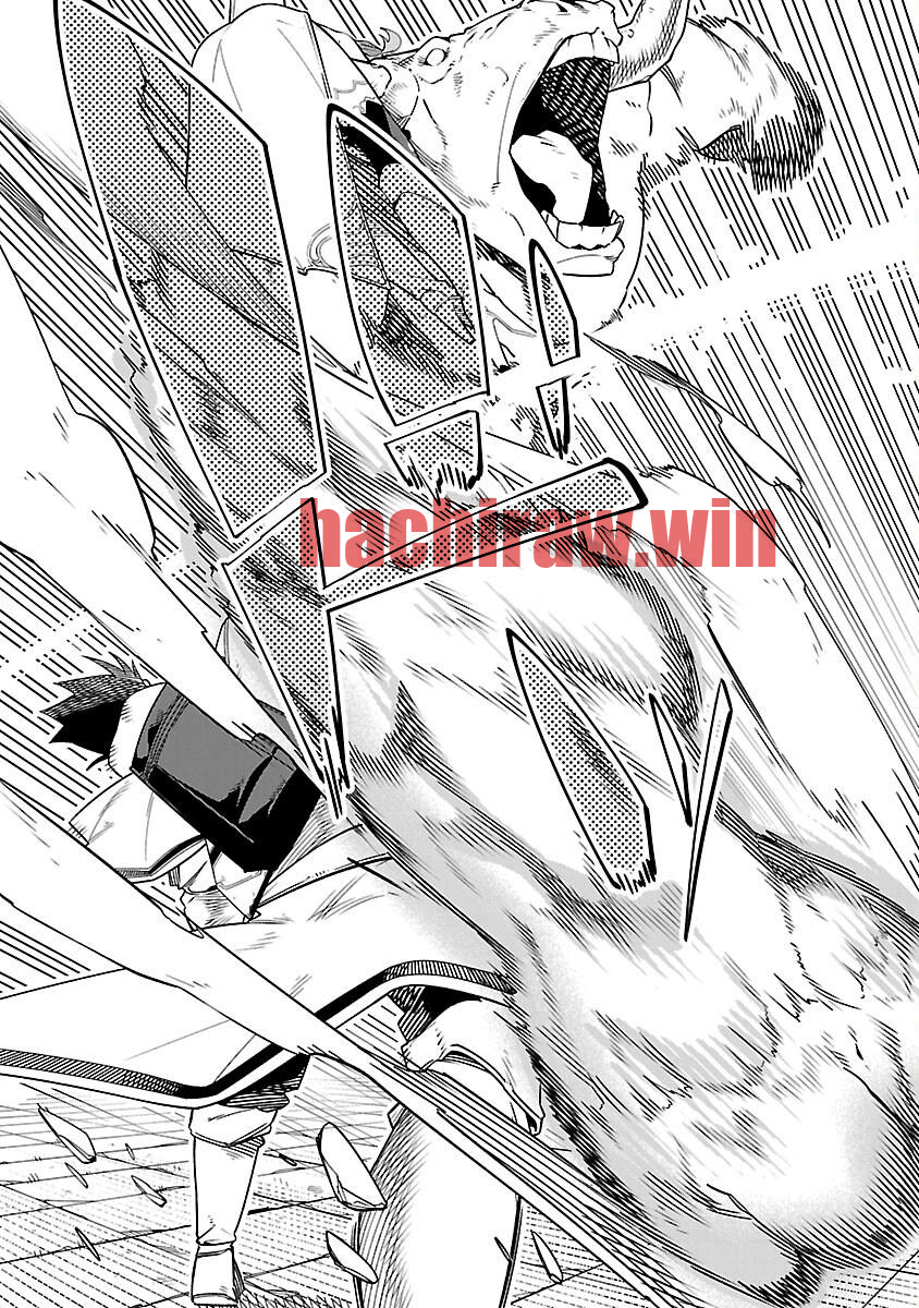 img 29