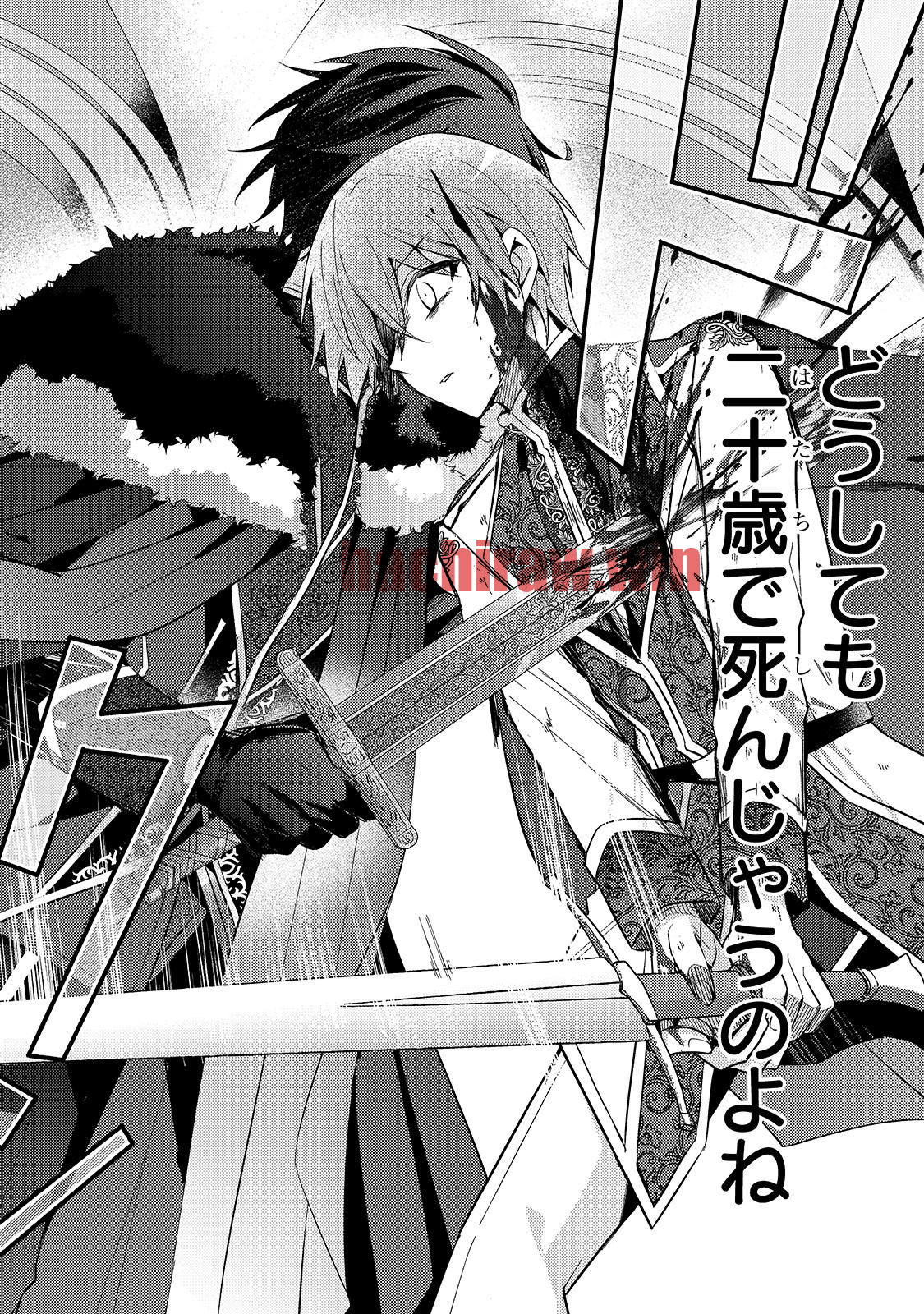 img 13