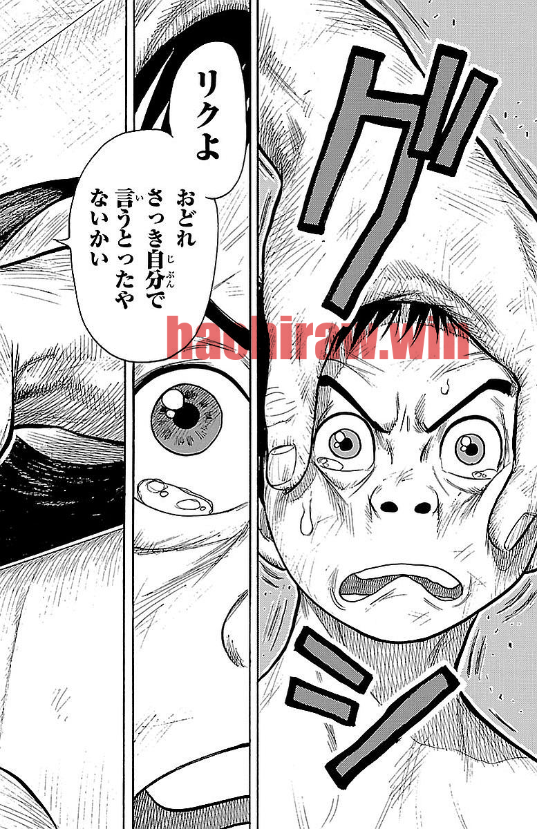 img 13