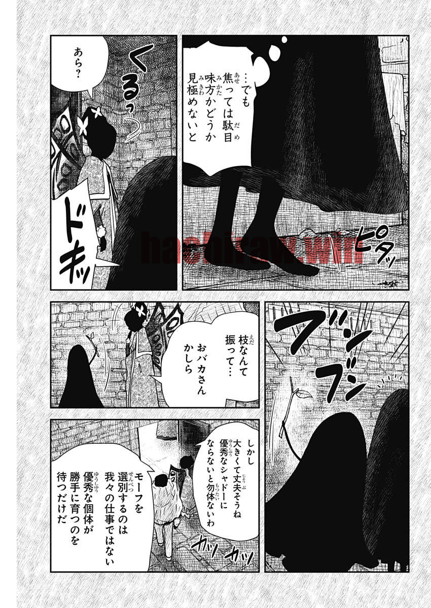 img 6
