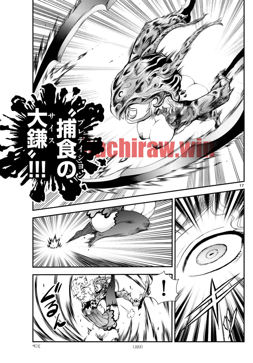 img 16