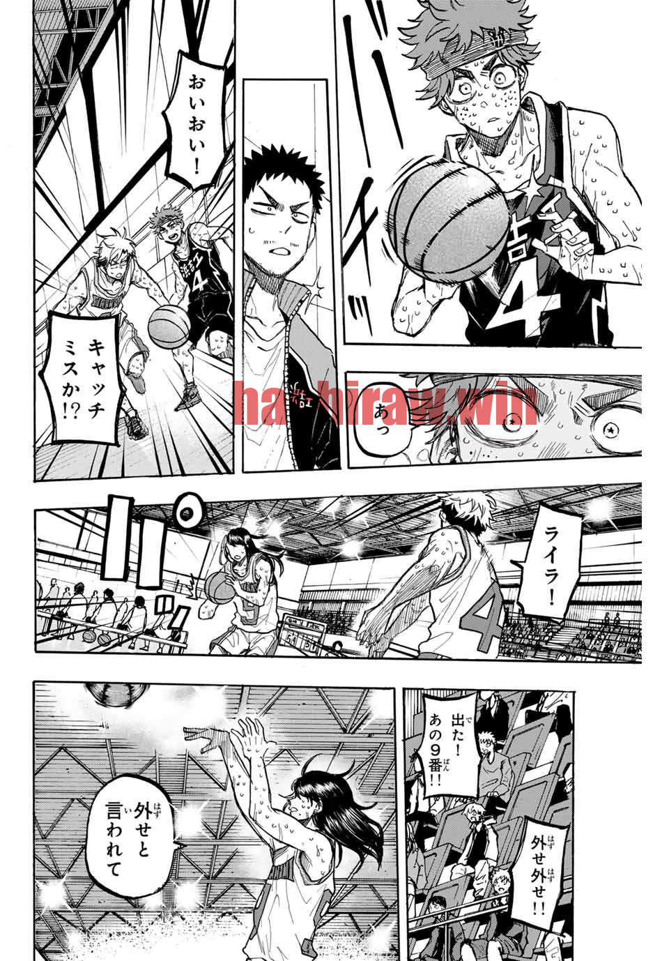 img 3