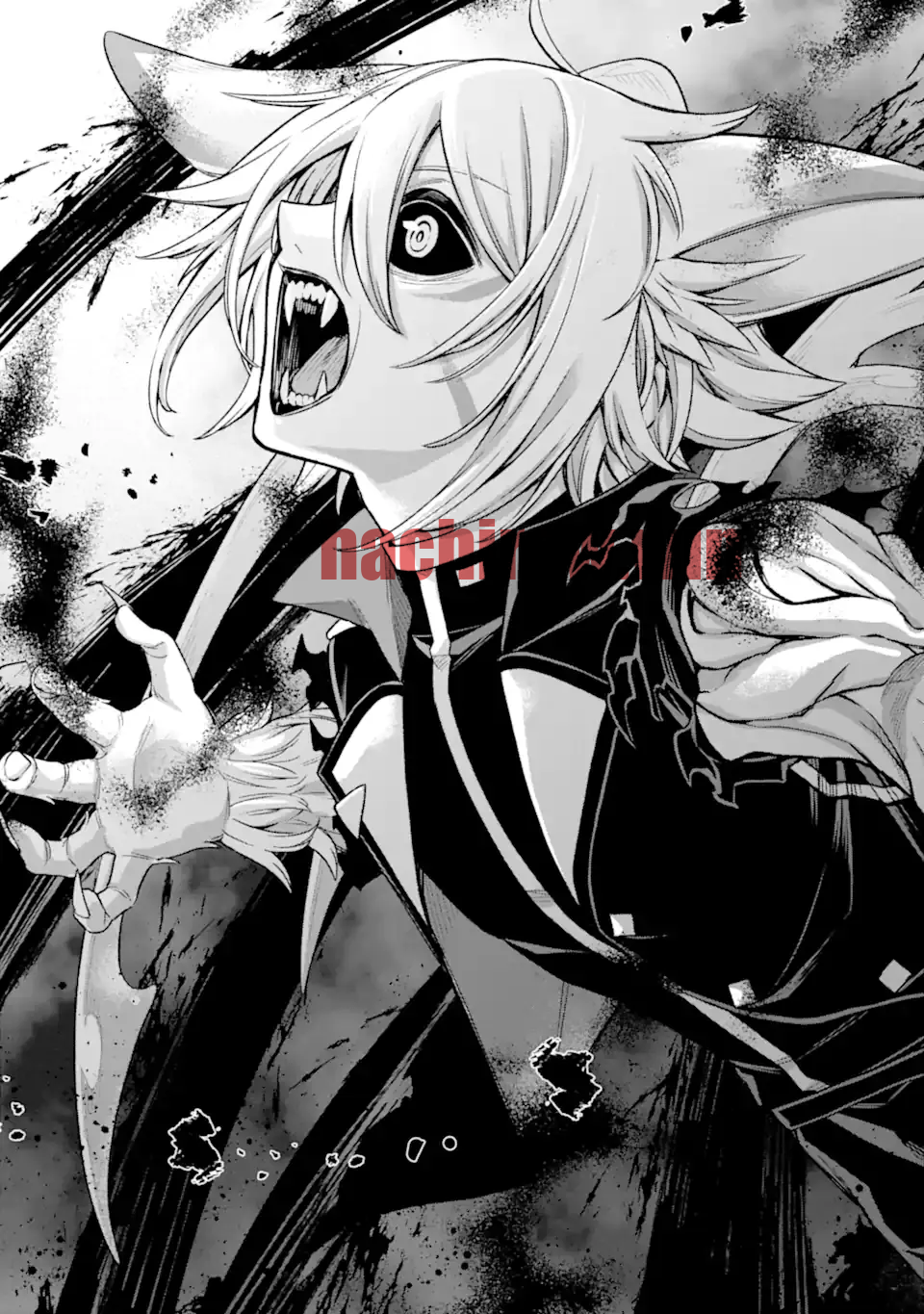img 10