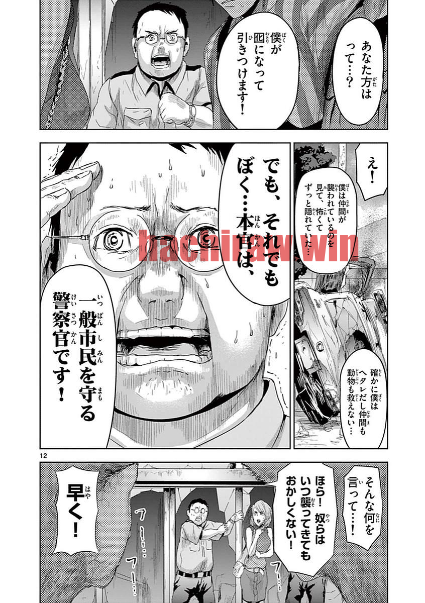 img 11