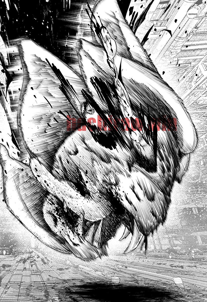 img 23