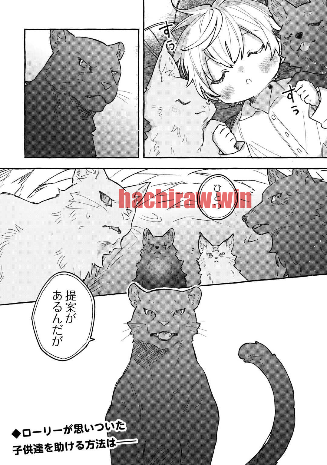 img 19
