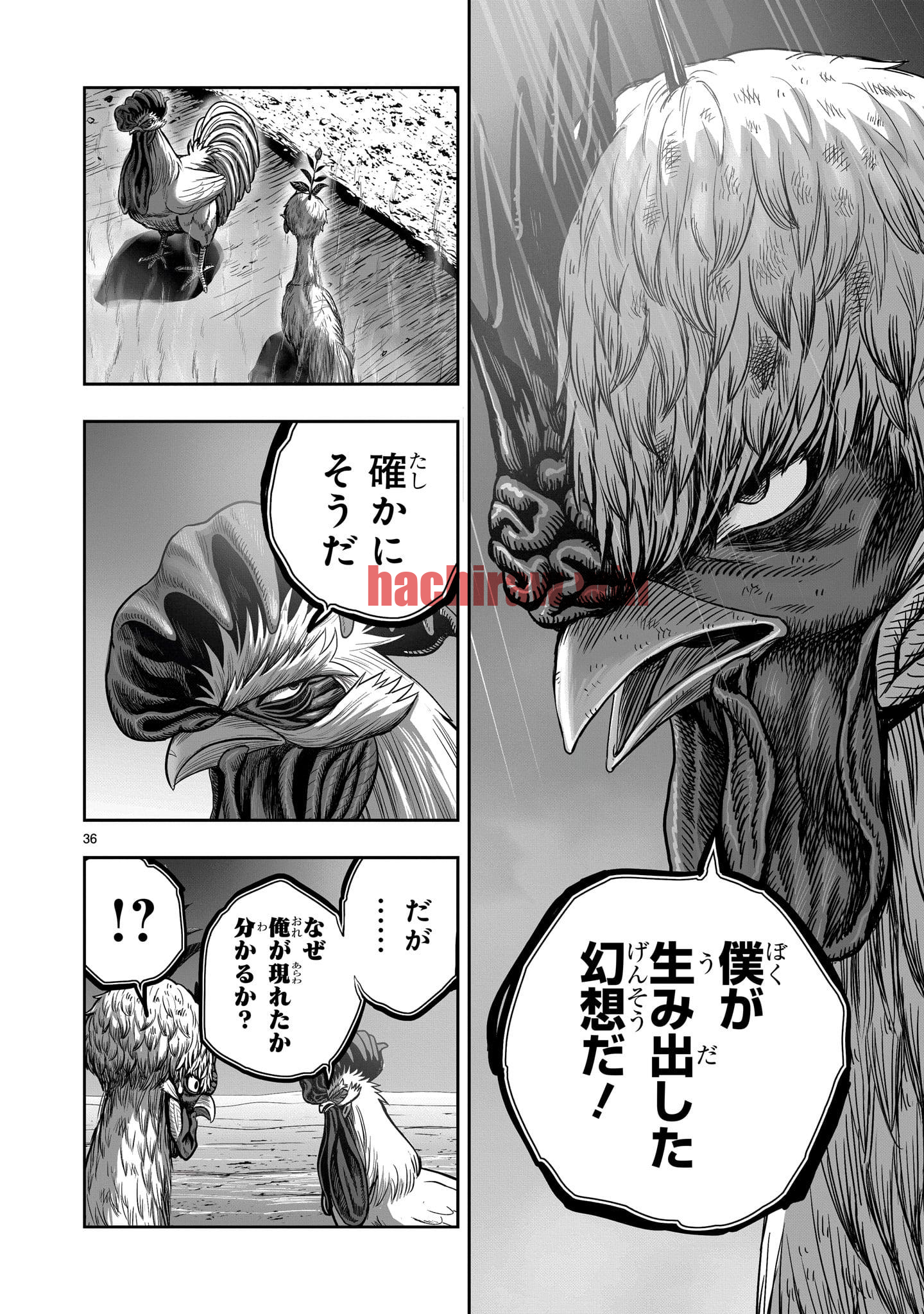 img 35