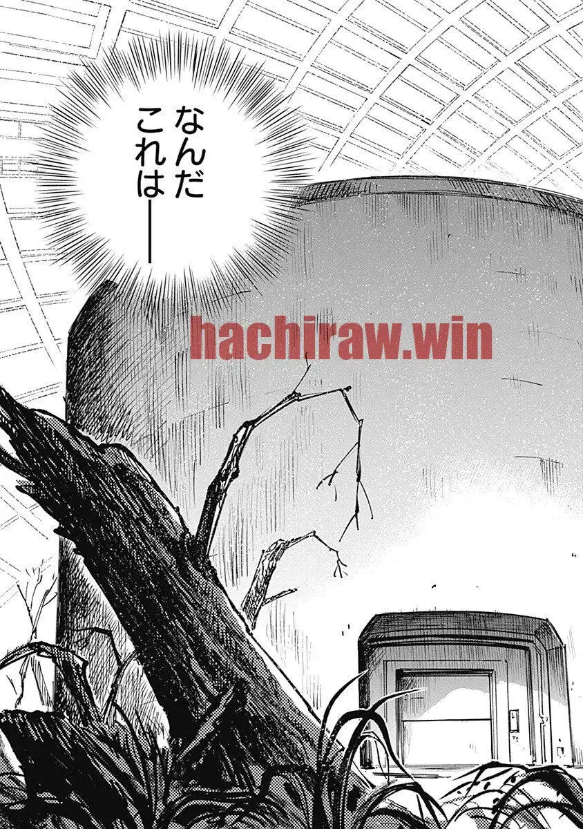 img 17