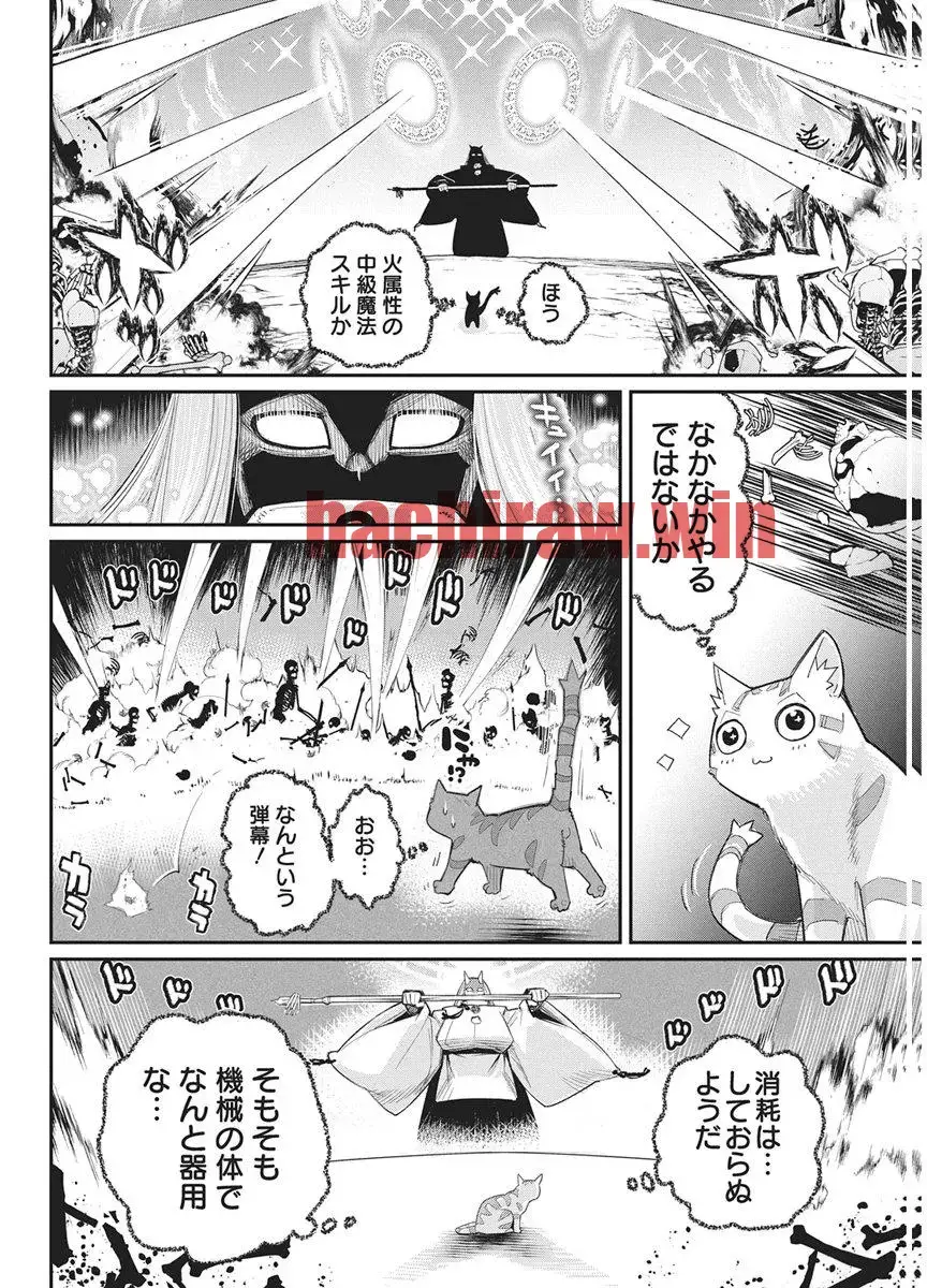 img 8