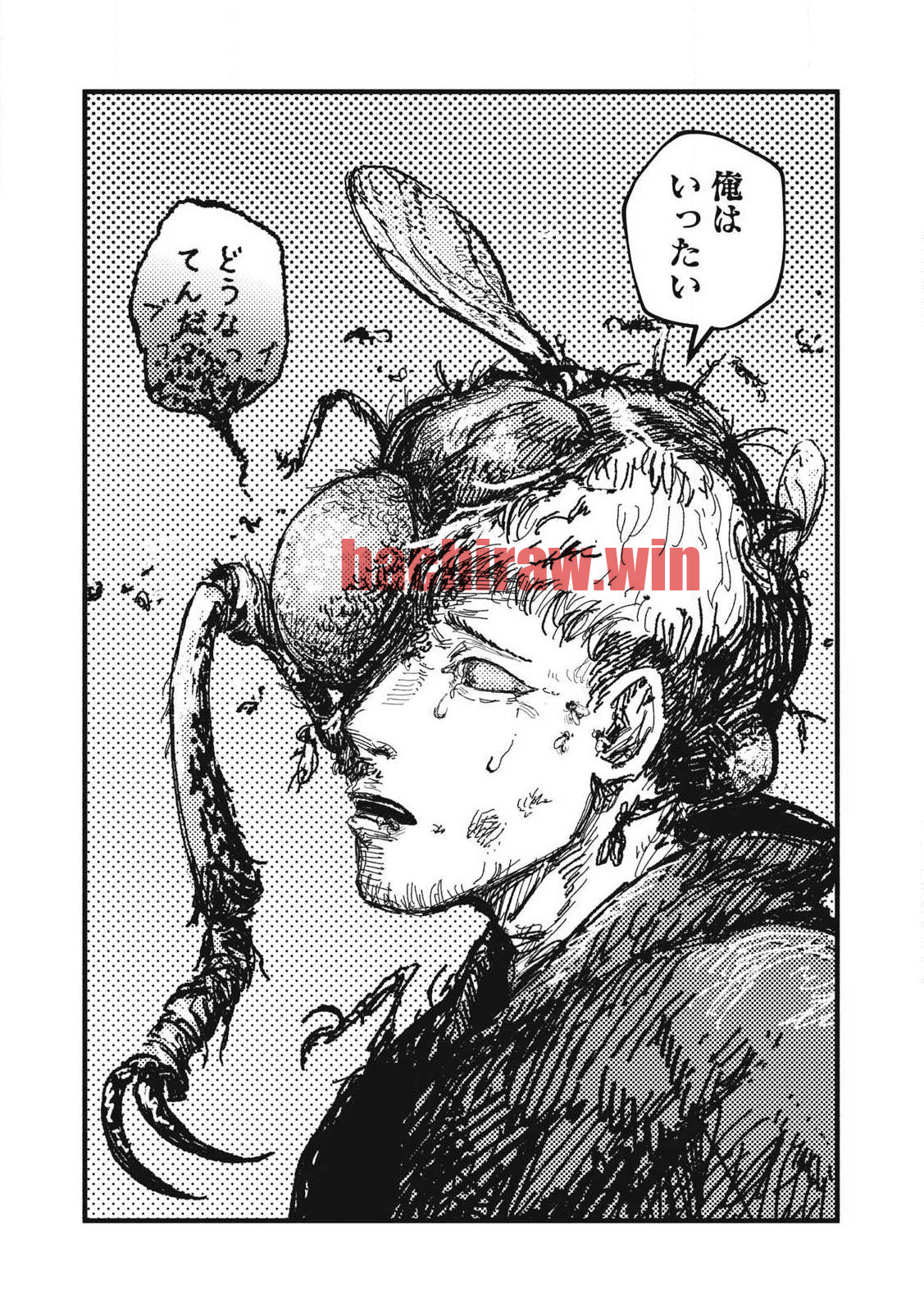 img 22