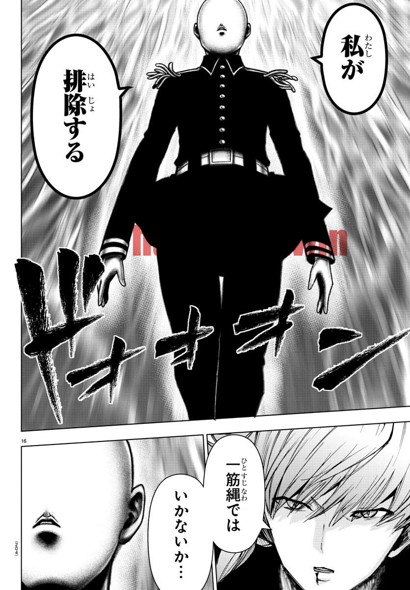 img 16