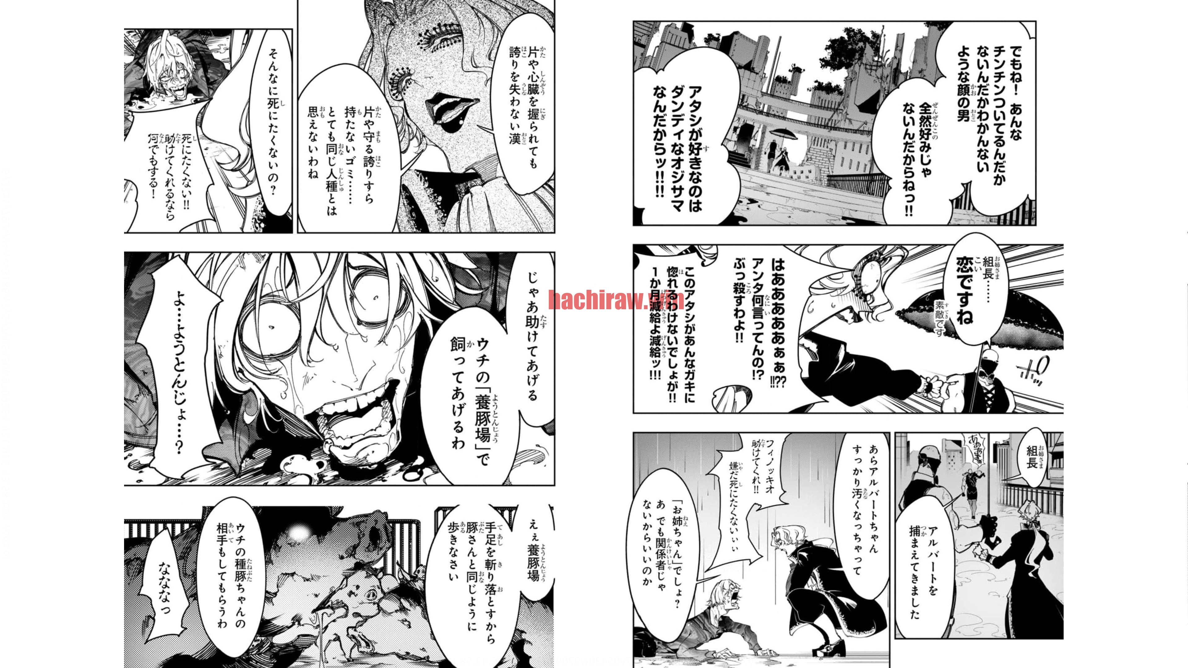 img 6