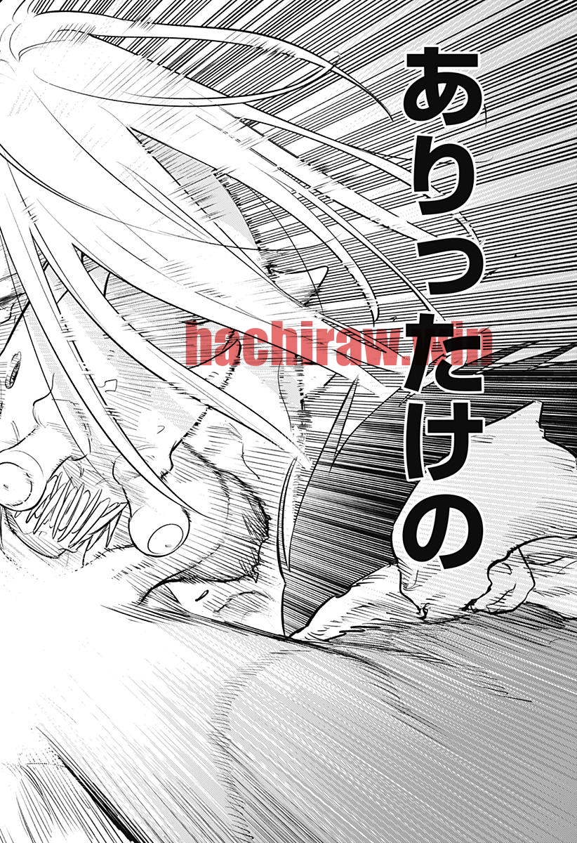img 17