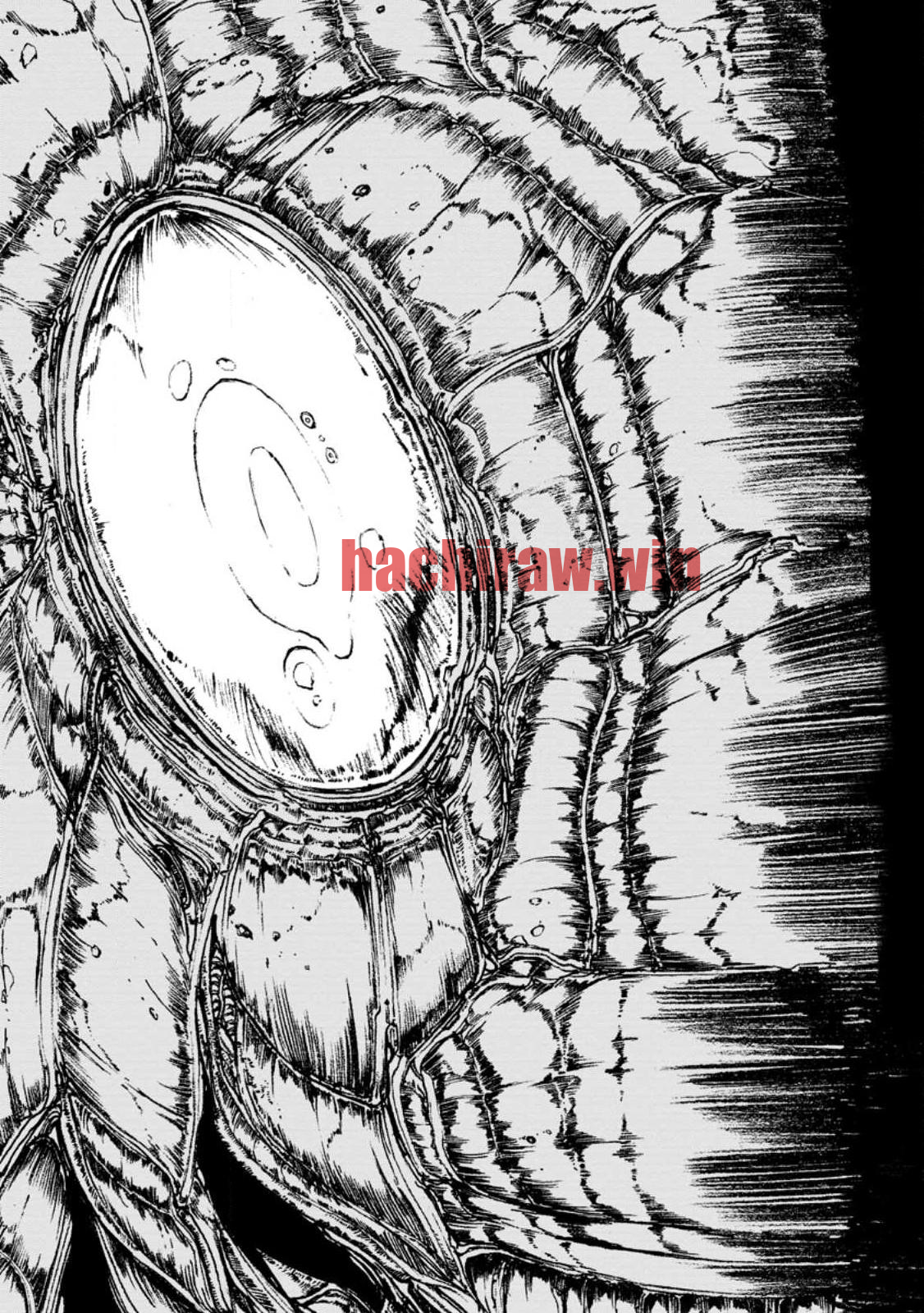 img 2