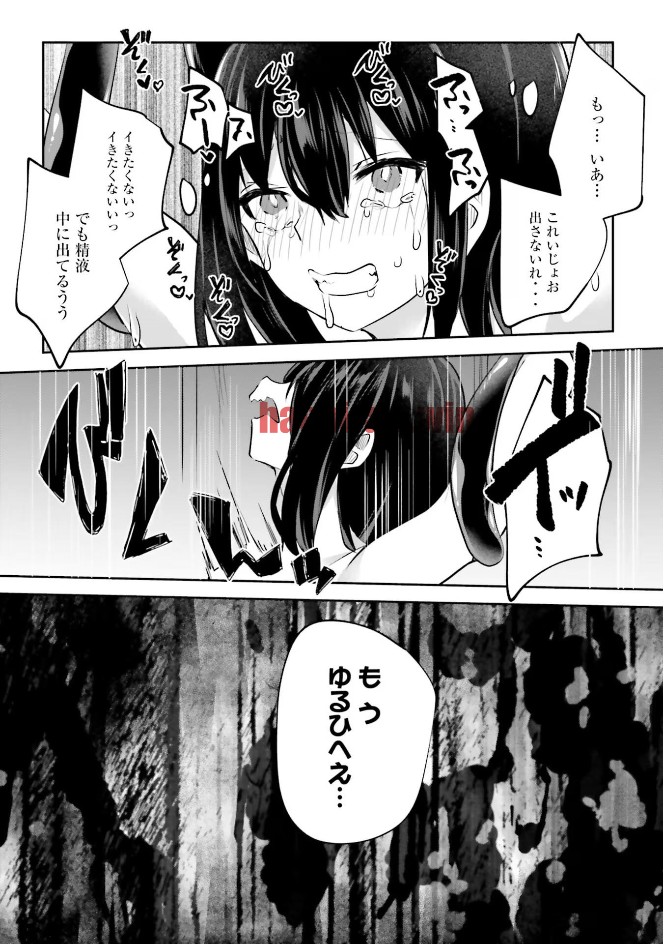 img 26