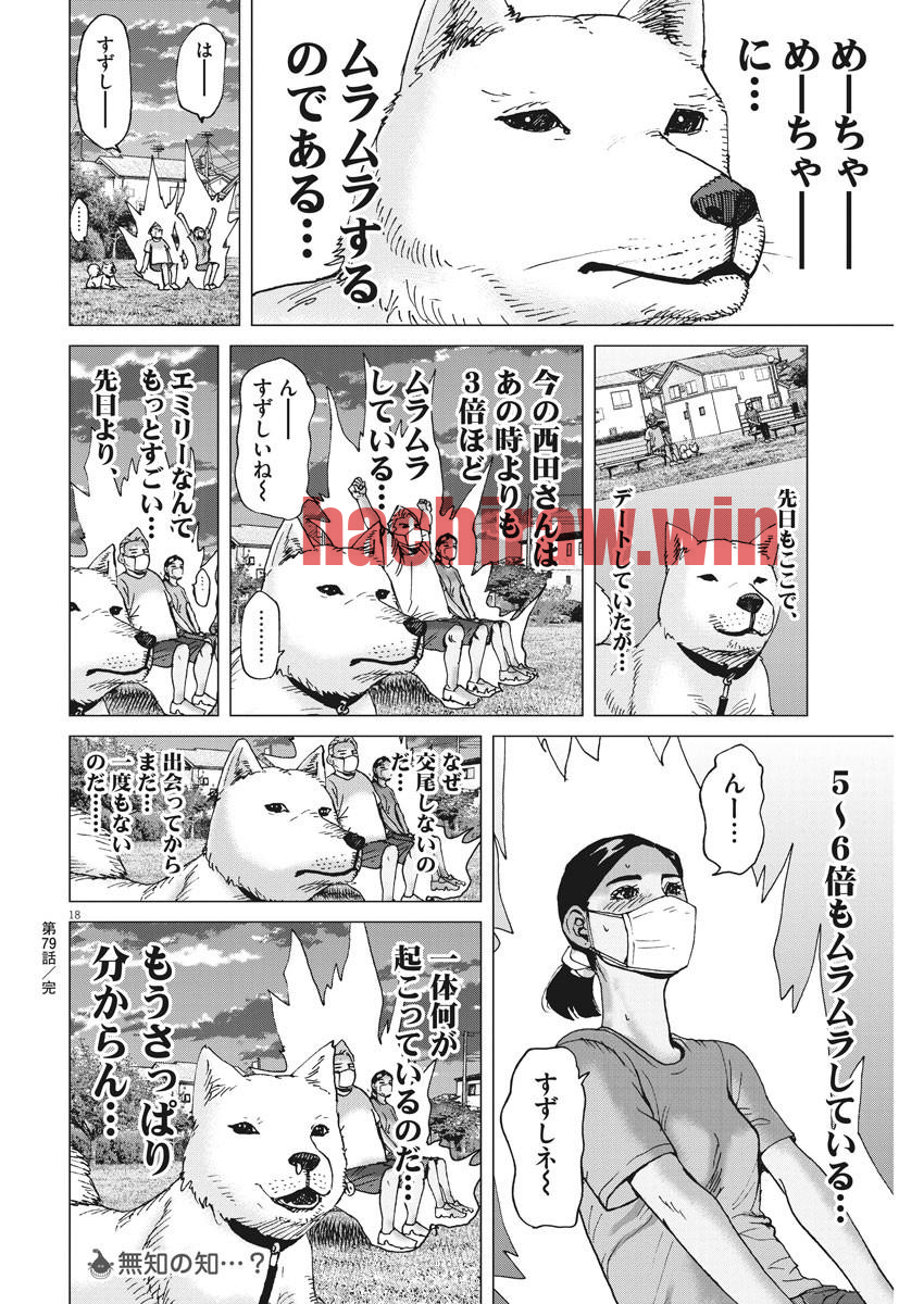 img 17