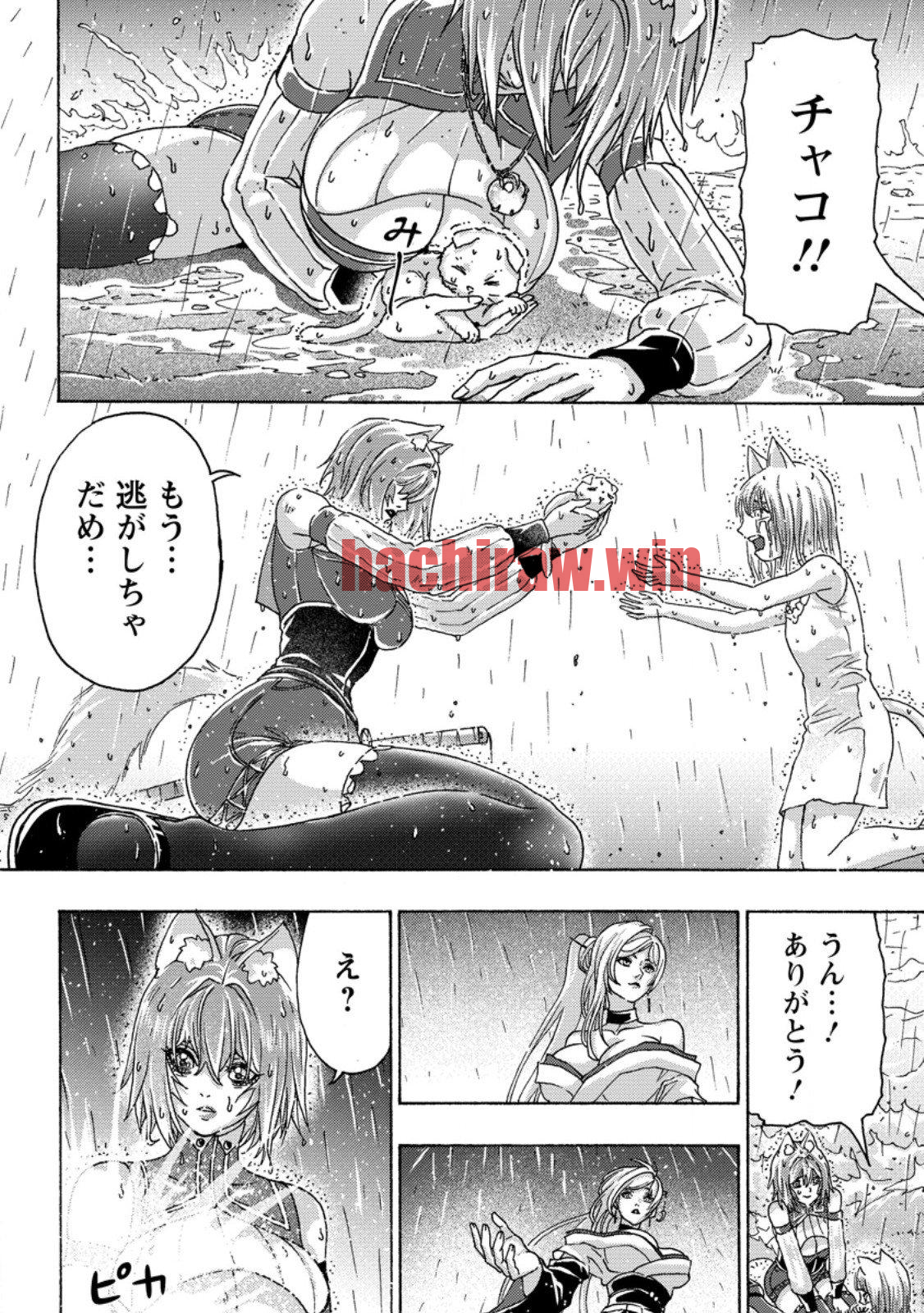 img 8