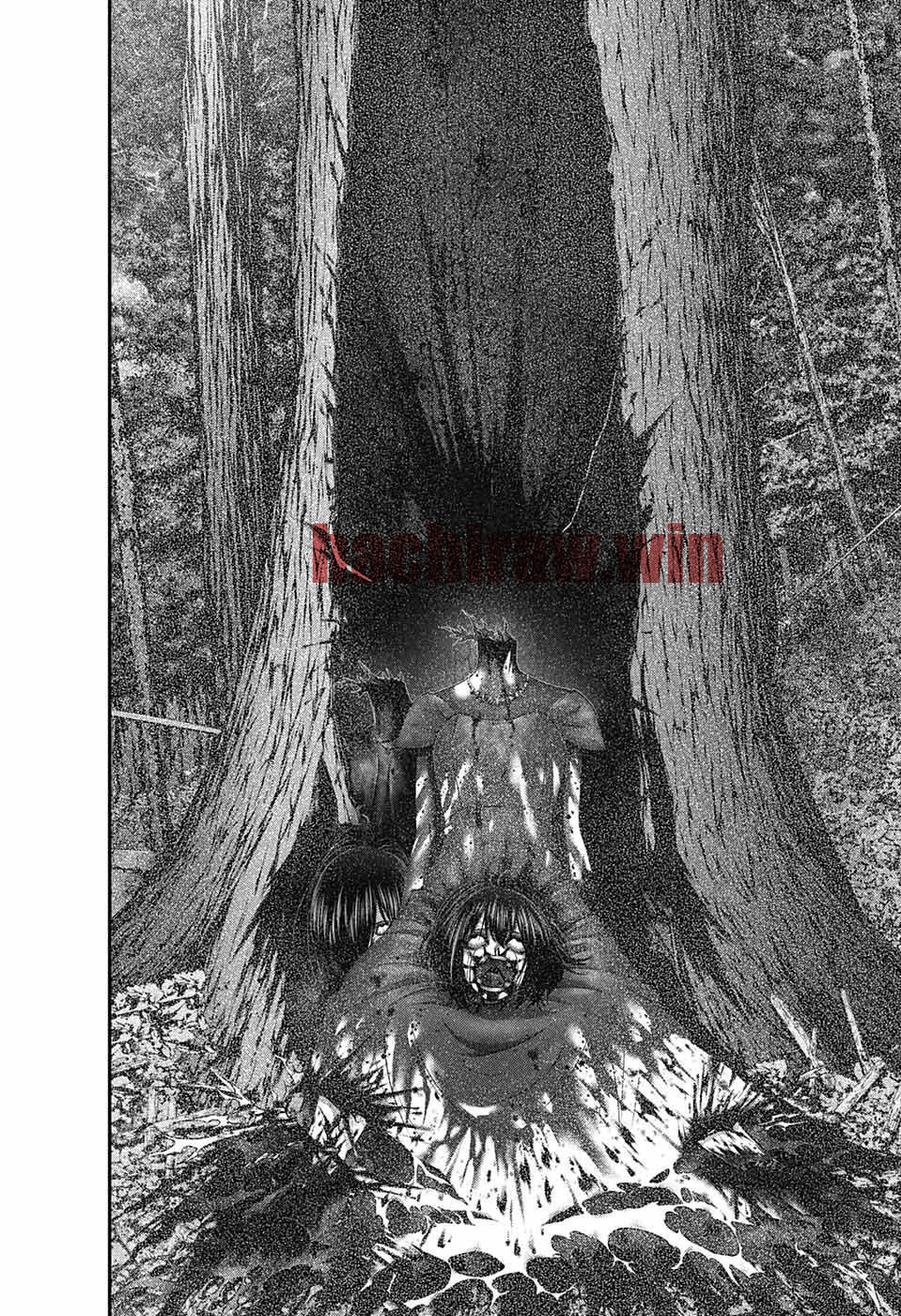 img 29