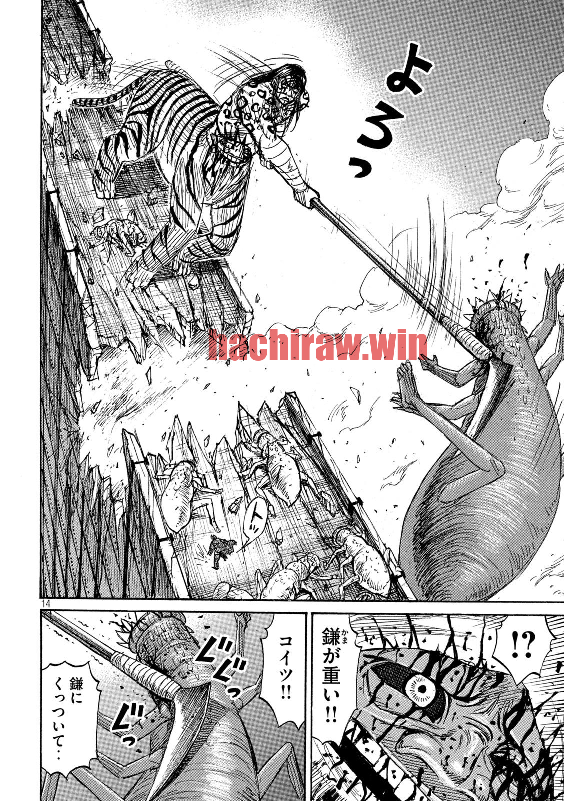 img 13