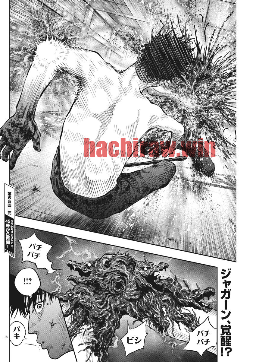 img 17