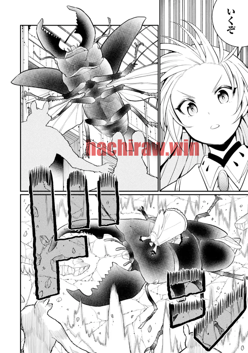 img 9
