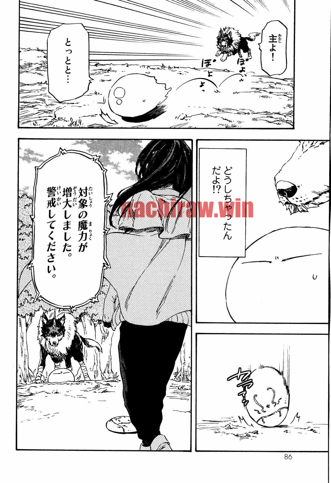 img 19