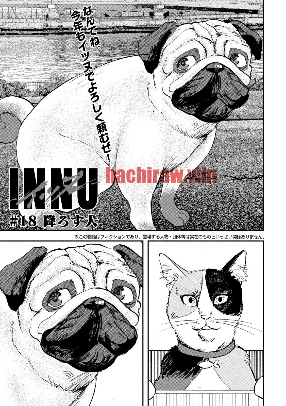 img 2